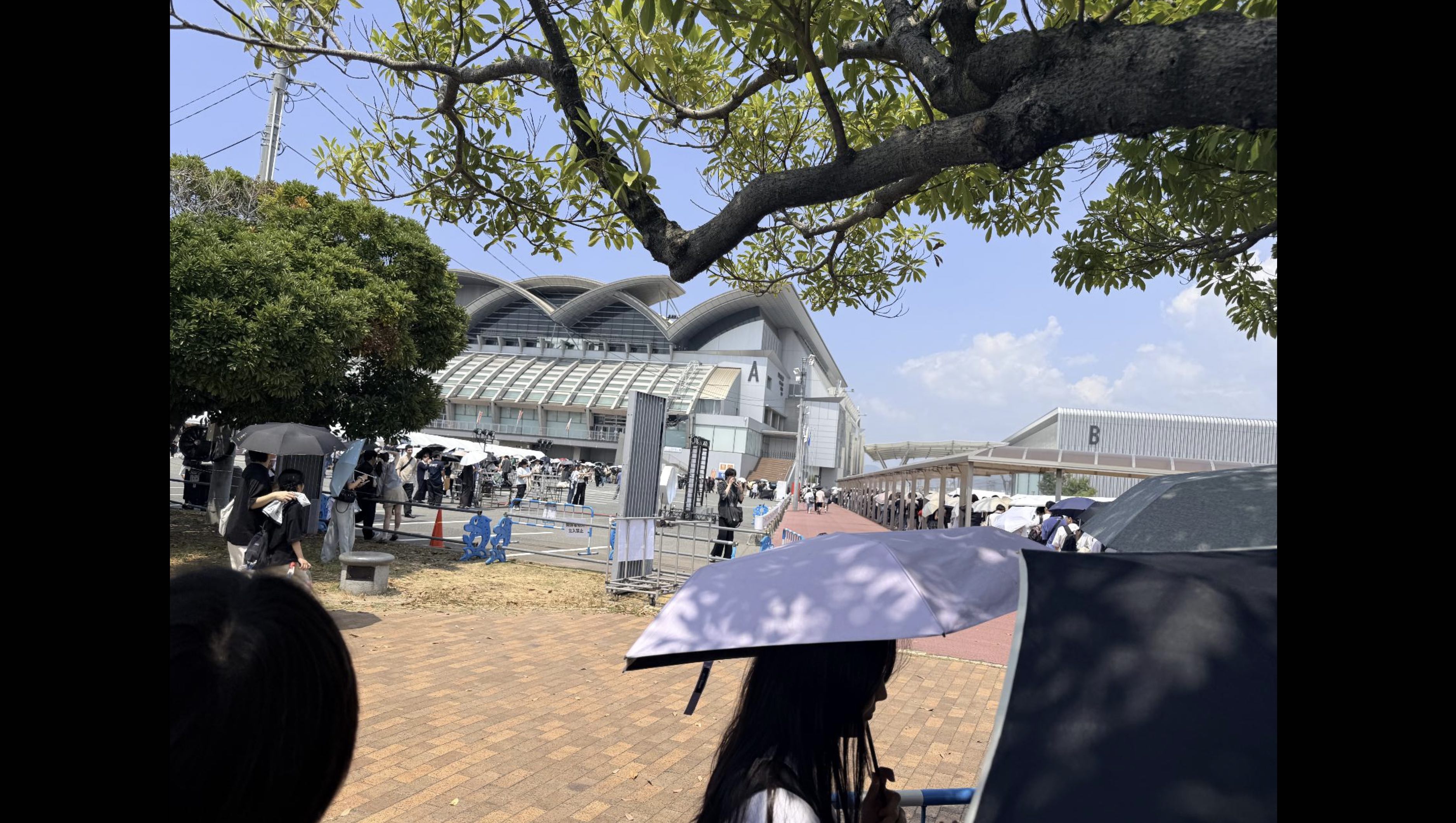live1